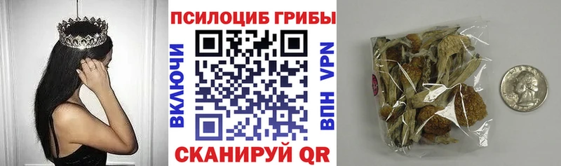 наркота Новое Девяткино ОМГ ОМГ рабочий сайт Псилоцибиновые грибы GOLDEN TEACHER